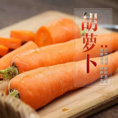 10斤包邮【现挖现发】新鲜胡萝卜新鲜蔬菜农家水果萝卜蔬菜类批发图4