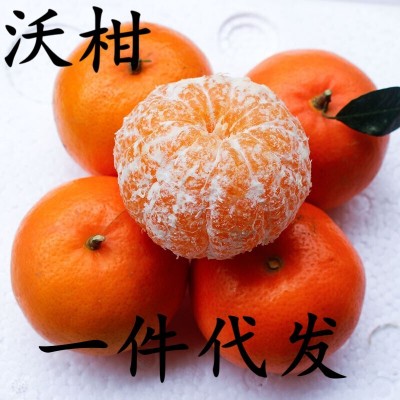 正宗沃柑新鲜10斤广西桔子水果橘子柑橘整箱蜜橘当应季特产代发图2