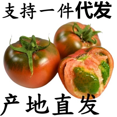 丹东草莓柿子5 斤西红柿新鲜碱地铁皮柿子生吃水果番茄一 件代发