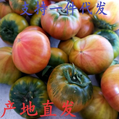 丹东草莓柿子5 斤西红柿新鲜碱地铁皮柿子生吃水果番茄一 件代发图2