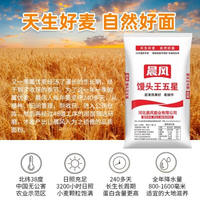 面粉批发家用小麦粉50斤装面粉馒头饺子皮面条包子小麦粉烘培图3
