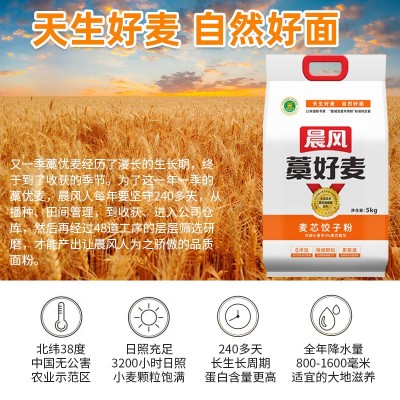 晨风雪花小麦粉5公斤2.5kg家用包子馒头花卷蒸制小麦粉包邮图4