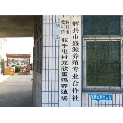 农三粉蛋土鸡蛋养殖场批发草鸡蛋一手货源虫草蛋图5