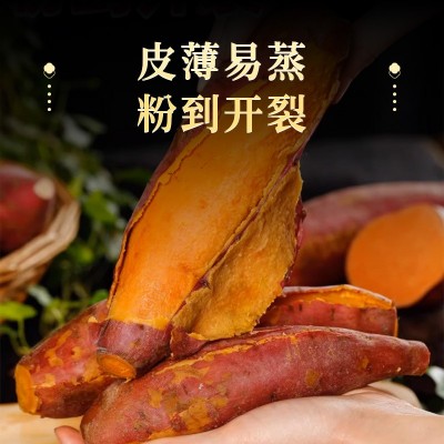 正宗山东烟薯蜜薯现货一件代发3斤5斤烤红薯糖心蜜烤地瓜番薯红薯图2