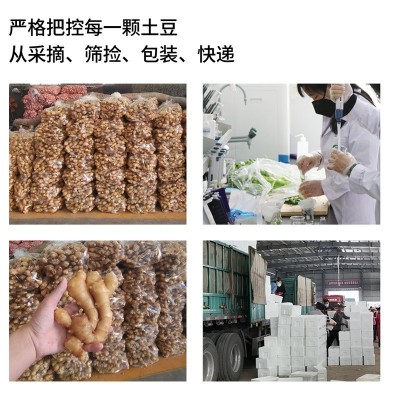 现货生姜水洗姜 山东大姜3/5/9斤 1件代发图4