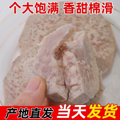 正宗广西特产新鲜现挖荔浦芋头直发粉糯香奶茶甜点火锅香芋图2