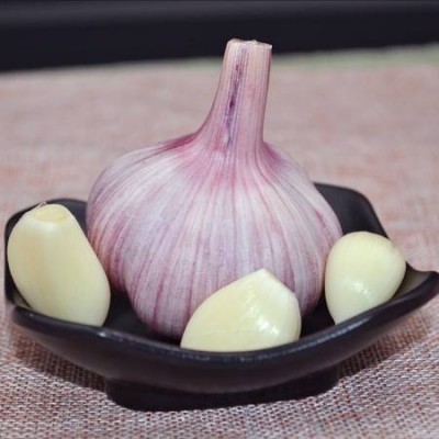 现货山东5斤紫皮干蒜批发产地紫皮大蒜头代发包邮图2
