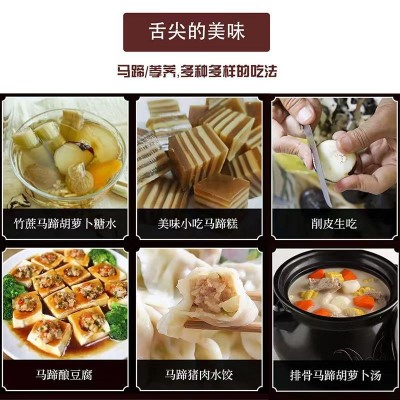 广西马蹄精品荠特大马蹄脆甜多汁个大无渣现挖微泥产地直发果图2