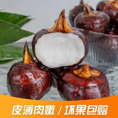 广西马蹄精品荠特大马蹄脆甜多汁个大无渣现挖微泥产地直发果图3