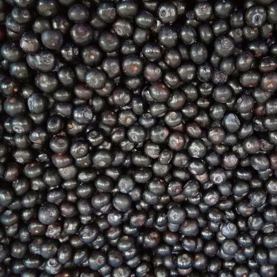 冷冻水果冷冻蓝莓 速冻蓝莓果蔬冷冻蓝莓非兔眼品种冷冻水果蓝莓图4