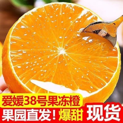 四川眉山 爱媛38号果冻橙新鲜采摘 当季孕妇水果产地现采现发包邮图5