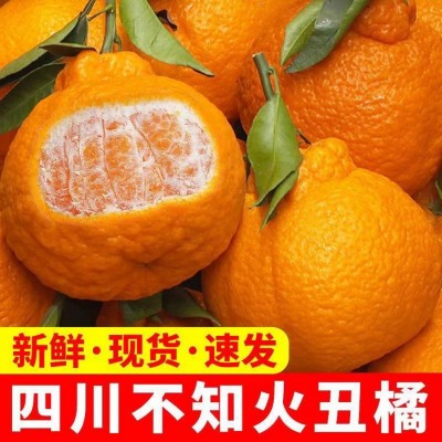 四川不知火丑橘 当季新鲜孕妇水果 产地现摘现发整箱包邮一件代发图5