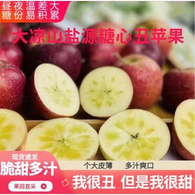 批发盐源苹果四川大凉山高山应季露天新鲜红富士甜脆糖心丑苹果图5