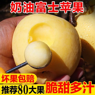 山东红富士苹果冰糖心奶油爆甜牛奶苹果黄金奶油图3