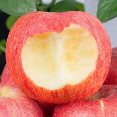 脆甜红富士洛川苹果7斤整箱冰糖心丑苹果批发价包邮新鲜应季水果