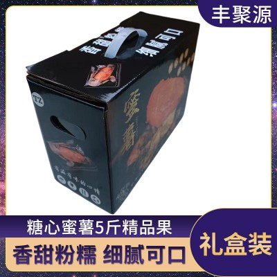 新鲜现挖香甜流蜜烤地瓜软糯无丝皮薄蜜薯5斤礼盒装送礼特产红薯图4