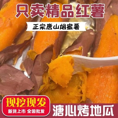正宗唐山烟蜜薯糖心蜜薯新鲜红薯现挖现发供应烤地瓜甜糯流蜜番薯图2