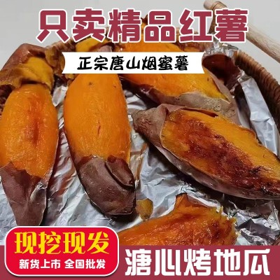 正宗唐山烟蜜薯糖心蜜薯新鲜红薯现挖现发供应烤地瓜甜糯流蜜番薯图3