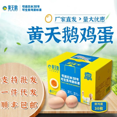 黄天鹅鸡蛋无菌蛋顺丰包邮达到可生食鸡蛋标准新鲜红心图3