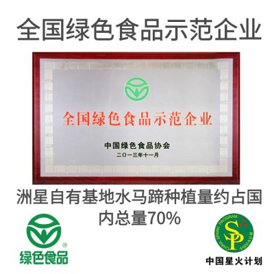 洲星牌马蹄粉批发40年龙头品牌批发厂家原广州大田厂家250g/500克图2