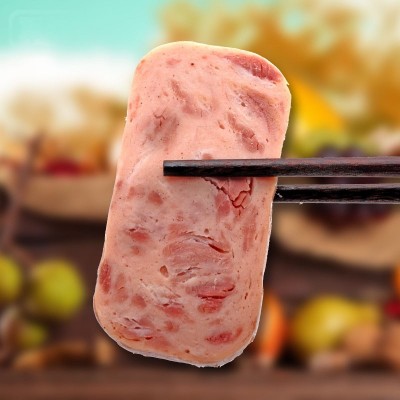 特陆【火腿午餐肉罐头】200g火锅小黑猪肉即食火腿肠应急储备食品图4