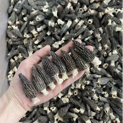 羊肚菌干货特产批发4-6头小个羊肚菌菇炖煲汤 云南野生羊肚菌批发图2