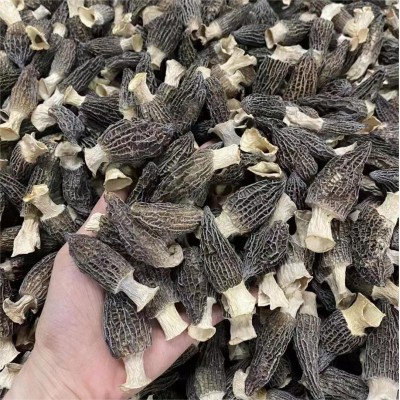 羊肚菌干货特产批发4-6头小个羊肚菌菇炖煲汤 云南野生羊肚菌批发图3