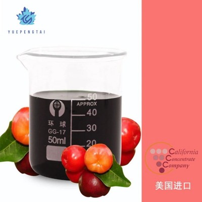 悦芃泰（天津）食品有限公司 浓缩果汁 水果提取物原汁 浓缩汁