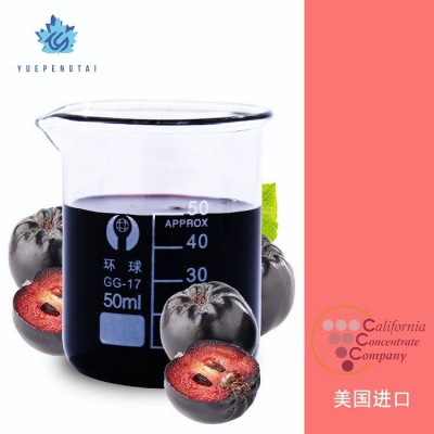 悦芃泰（天津）食品有限公司 浓缩果汁 水果提取物原汁 浓缩汁图2