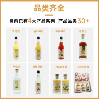 果酒青梅酒柚子莓果多口味微醺酒低度梅子酒伴手礼一件代发果味酒图3