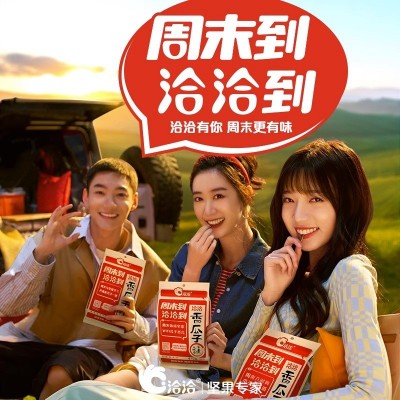 洽洽瓜子经典原味瓜子批发袋装葵花籽恰恰瓜子多口味规格零食批发图3