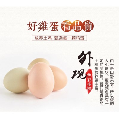 苏北果园散养新鲜土鸡蛋30枚/盒图5
