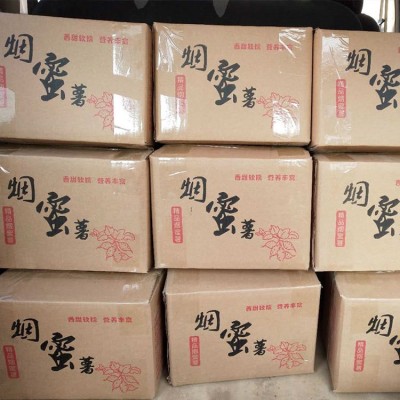 山东烟薯25 红薯批发 地瓜大量供应 蜜薯香糯甜烤红薯地图5