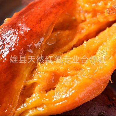 唐山烟薯25号产地批发烤红薯红皮红心蜜薯流油烤薯沙地红薯烤地瓜图4