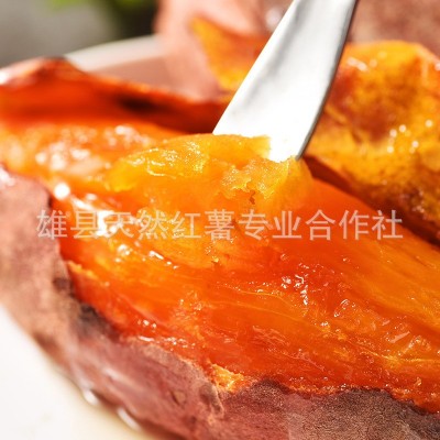 唐山烟薯25号产地批发烤红薯红皮红心蜜薯流油烤薯沙地红薯烤地瓜图3