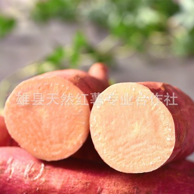 唐山烟薯25号产地批发烤红薯红皮红心蜜薯流油烤薯沙地红薯烤地瓜图2