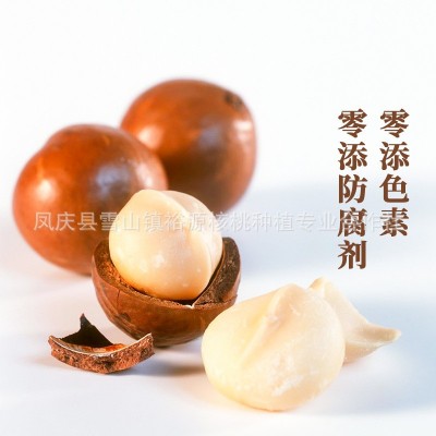 云南夏威夷果箱装大颗粒散装奶香味原味夏果零食小包装坚果批发图2
