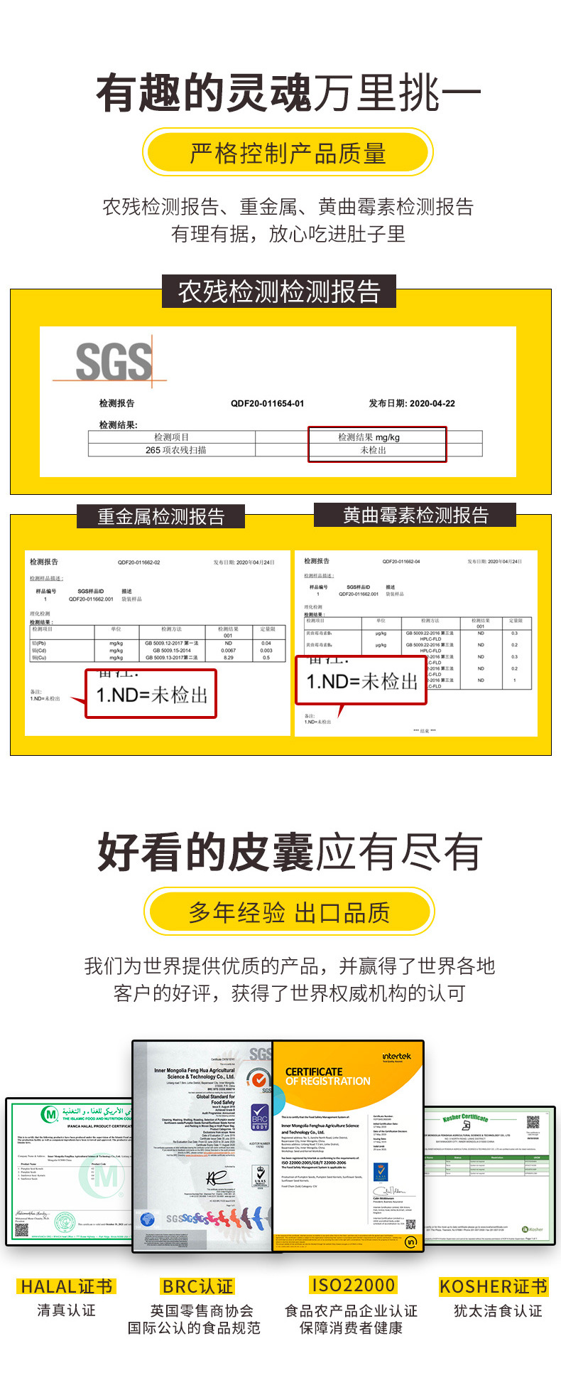 南瓜子AAA_03.jpg