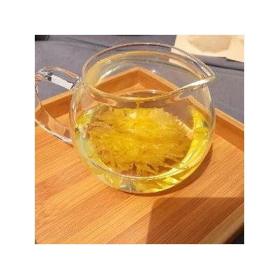 金丝皇菊批发图5