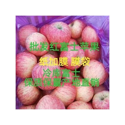 红富士苹果批发 山东苹果图2