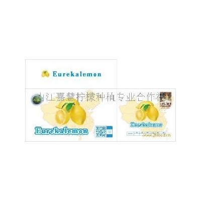 柠檬次果图4
