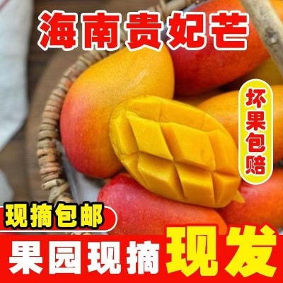 海南贵妃芒香甜多汁新鲜水果3/5/9斤整箱包邮代发图2