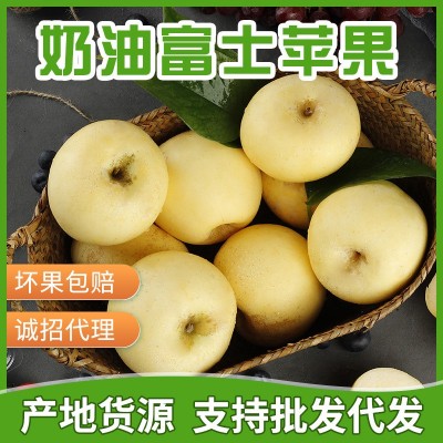 产地直发烟台红富士脆甜苹果 条红全红脆甜红富士支持代发图2