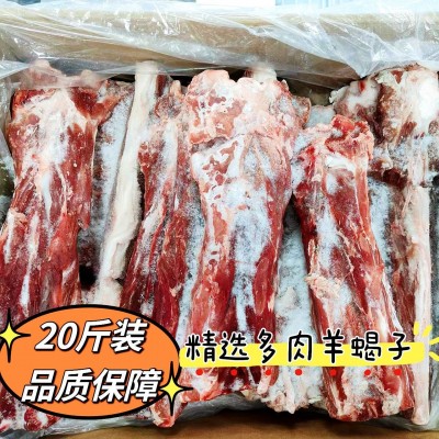 新鲜冷冻美羊羊羊蝎子精选多肉羔羊脊骨整箱20斤装厂家直销羊骨头