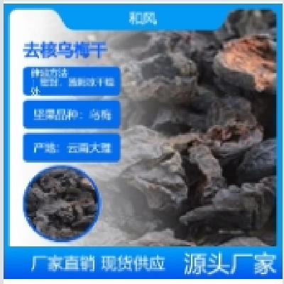 精制去核乌梅肉批发 营养丰富多种功效 量大批发