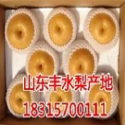 丰水梨价格一斤多钱丰水梨产地 格图2