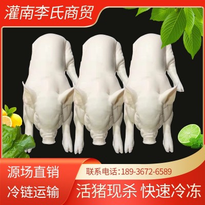 鲜冻烤乳猪半成品新鲜生鲜白条整只广式脆皮烤乳猪小耳朵巴马香图2