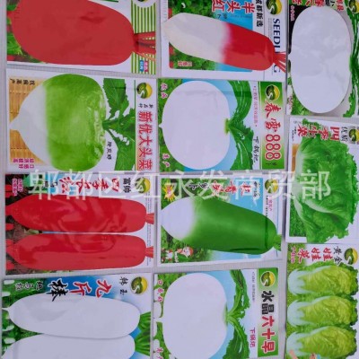 跑江湖地摊各种菜种家庭阳台蔬菜种子10元5包模式当季菜种图3