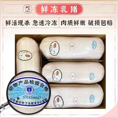 热销新鲜烤乳猪整只小猪仔 酒店商用冰鲜乳猪 烤乳猪食材酒店批发图3