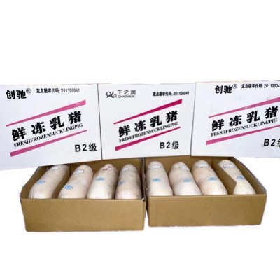 热销新鲜烤乳猪整只小猪仔 酒店商用冰鲜乳猪 烤乳猪食材酒店批发图4